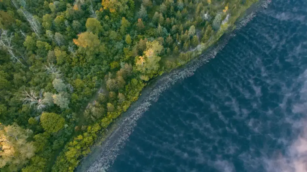 Norton Shores Top Industries